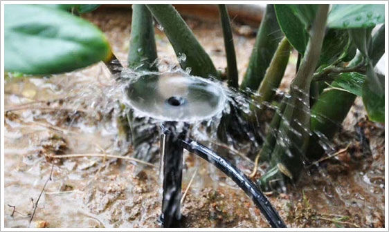 花卉灌溉中常用微喷方式