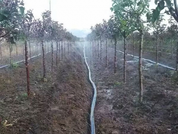 农田灌溉管厂家的选择过程