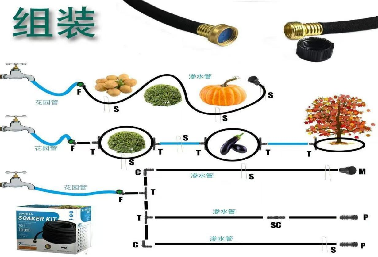 图片11